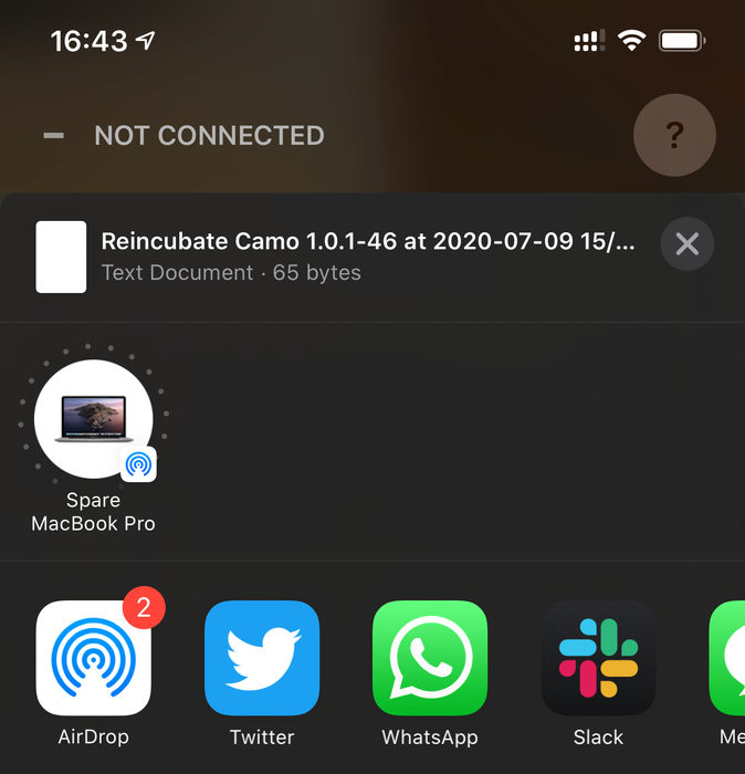 Экспорт журналов из Camo в iOS