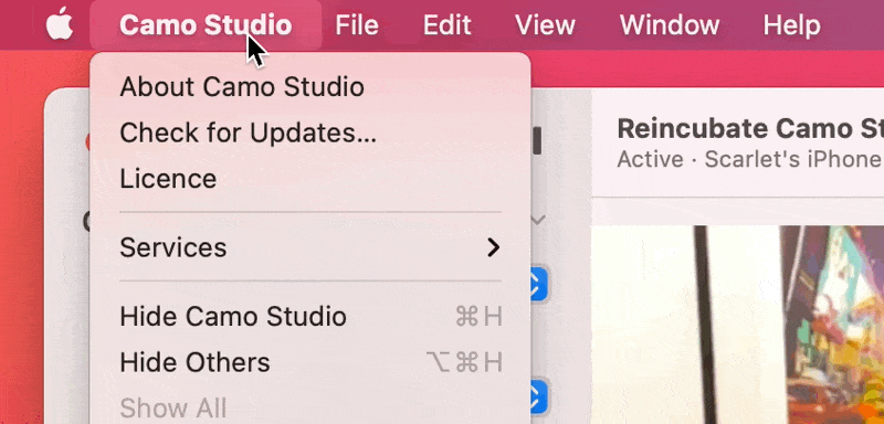 Проверка обновлений в Camo Studio.