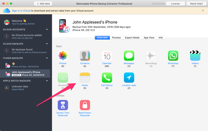 Extract Notes with iPhone Backup Extractor with one click