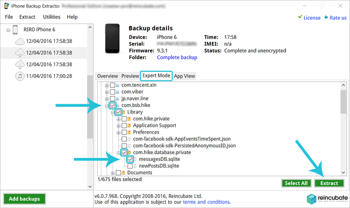 Extracting Hike files in expert mode